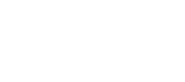 Everything Everywhere All at Once