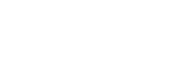 Everything Everywhere All at Once